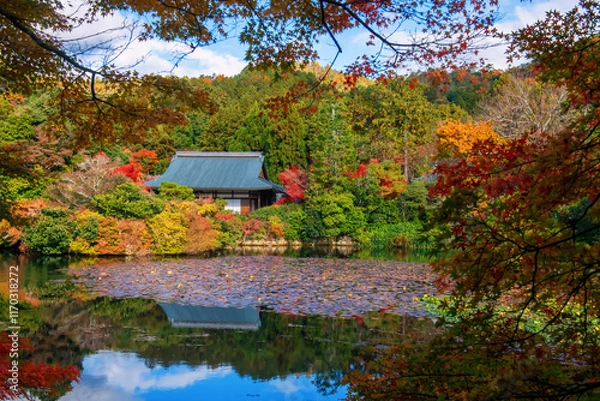Fototapeta Ryoanji temple by lake with fall leaves and skyline reflection, Kyoto
