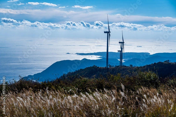 Obraz すすき揺れる高原から望む海