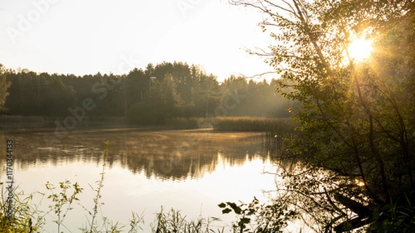 Fototapeta morning on the lake