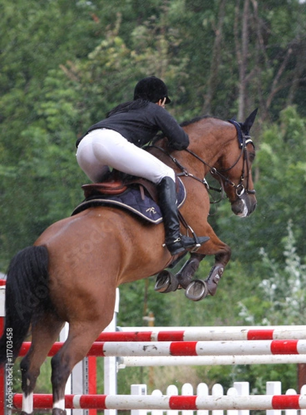 Obraz Springreiterin