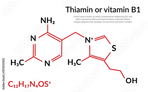 Fototapeta Vitamin B1 or Thiamine molecular structure formula suitable for education or chemistry science content.