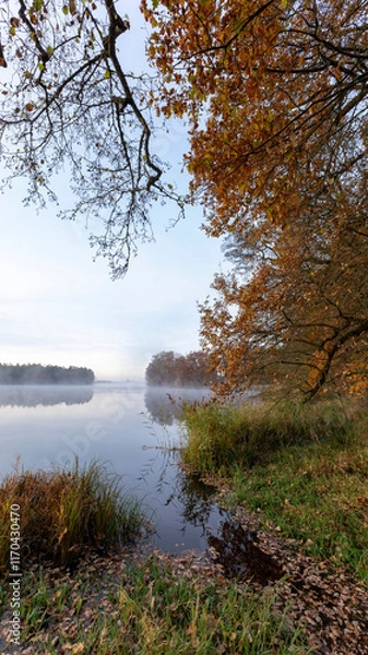 Fototapeta autumn in the park