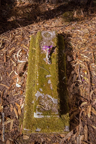 Fototapeta Grave