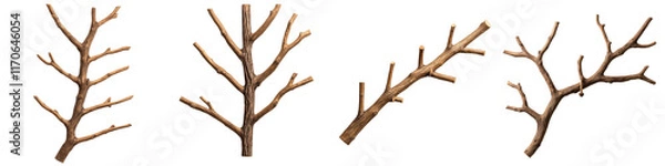 Fototapeta wooden tree branches with minimalist abstract and silhouette design elements against a clean white background  Stylized natural decor for modern interior design and wall art