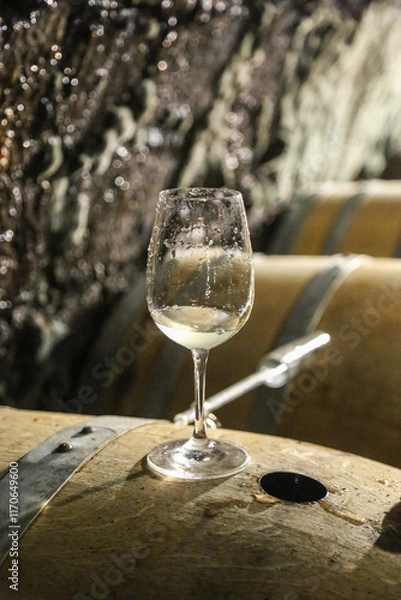 Obraz Winetasting in the cellar