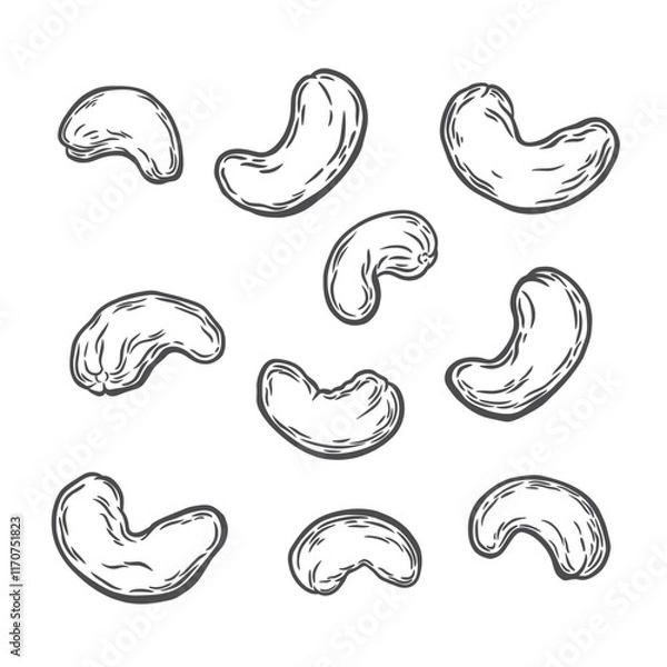 Obraz Cashew nuts on a white background