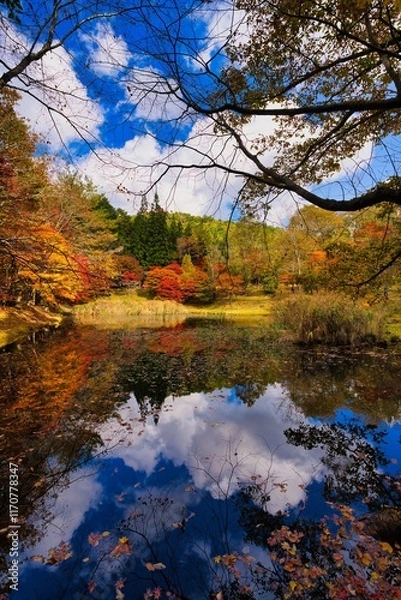 Obraz 日本の紅葉