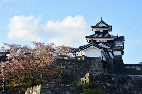 Fototapeta 小峰城跡（福島県）
