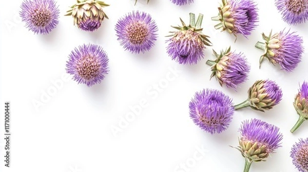 Fototapeta Botanical art: vertical arrangement of purple artichoke flowers on a white background, highlighting their unique petal structures.