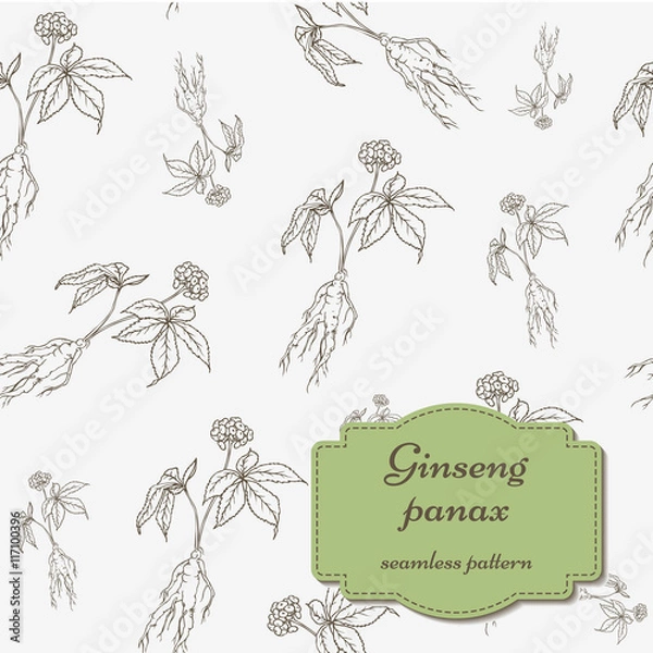 Obraz Ginseng panax pattern