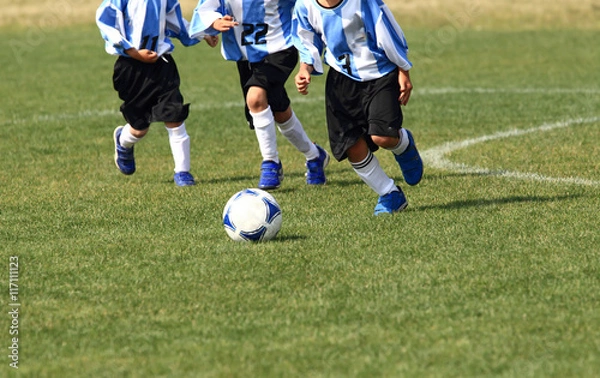Fototapeta サッカー　フットボール