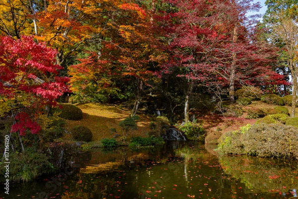 Fototapeta Colorful Trees by the Water