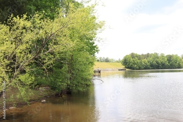 Obraz river in the park