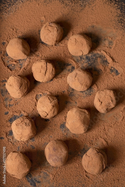 Obraz Chocolate truffles