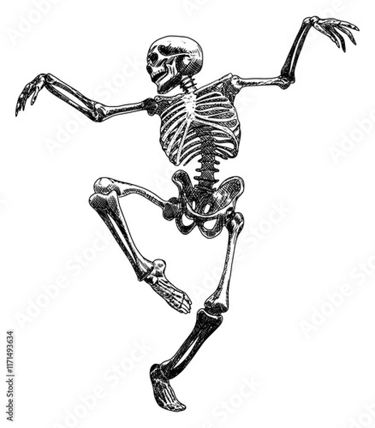 Fototapeta skeleton in dynamic dancing pose isolated hand drawn sketch card design element line art detailed vector illustration