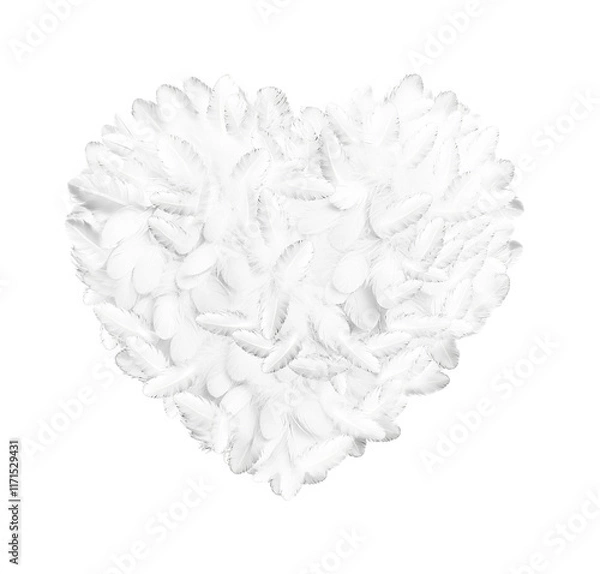 Fototapeta White feathers in the shape of a heart on a transparent background.