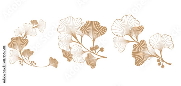 Obraz gold ginkgo plant background for documents