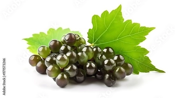 Obraz Isolated fresh cluster of grapes with a green stem isolated on solid white background.
