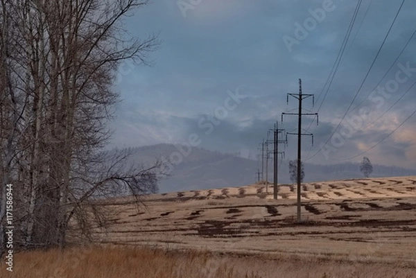 Fototapeta Russia. Krasnoyarsk Territory. Morning view of the relief hills with mown fields in a haze under the sky with picturesque clouds.