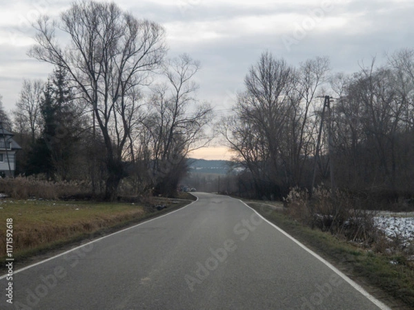Fototapeta A serene road surrounded by leafless trees under a cloudy sky, leading into the horizon with a hint of sunlight peeking through the clouds