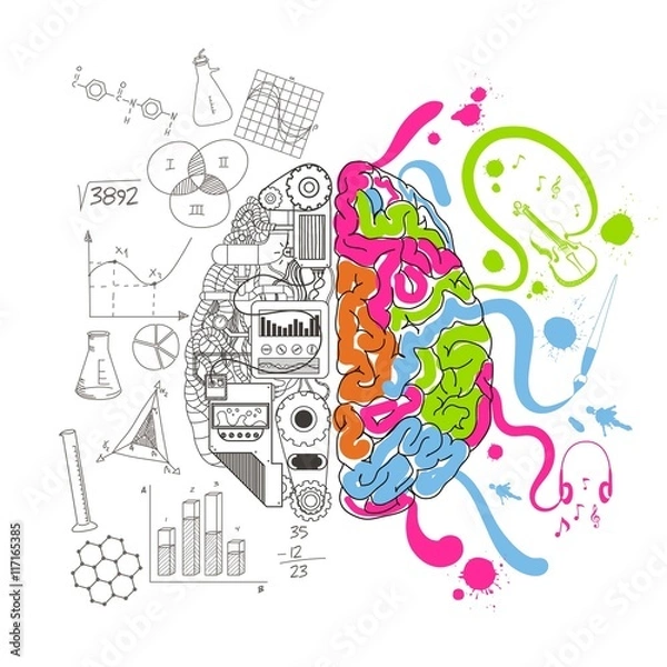 Fototapeta Analytical and creative brain