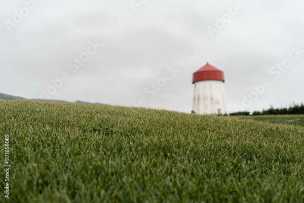 Obraz windmill in the field