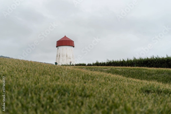Obraz red and white lighthouse in a field