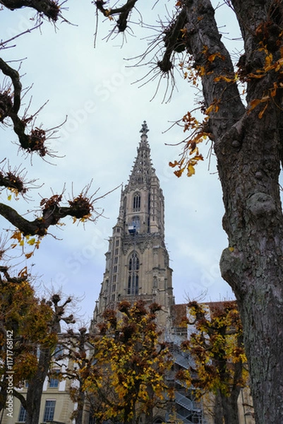 Obraz Impressive gothic style Munster Cathedral of St. Vincent in Bern, framed by tree