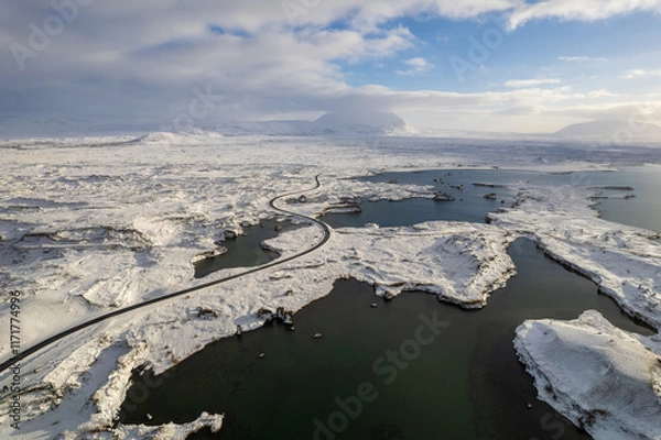 Fototapeta Icelandic aerial photography captured by drone. Beautiful landscape in the Myvatn lake in the north of Iceland, near Krafla volcano. Frozen trees cooverd by snow.