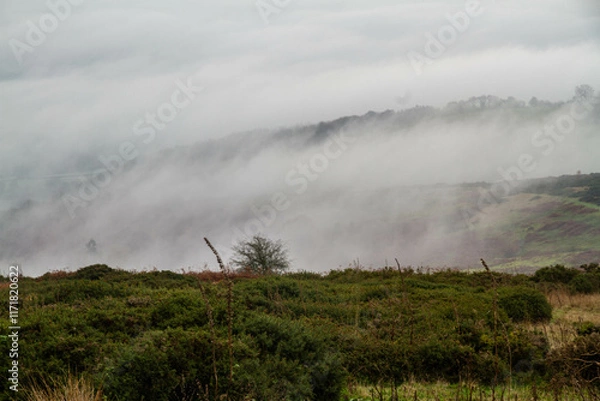 Fototapeta Temperature Inversion with clouds hugging valleys and hills.