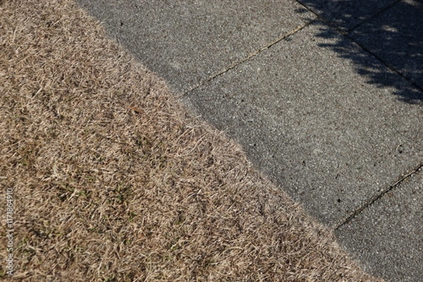 Obraz 石畳の道端