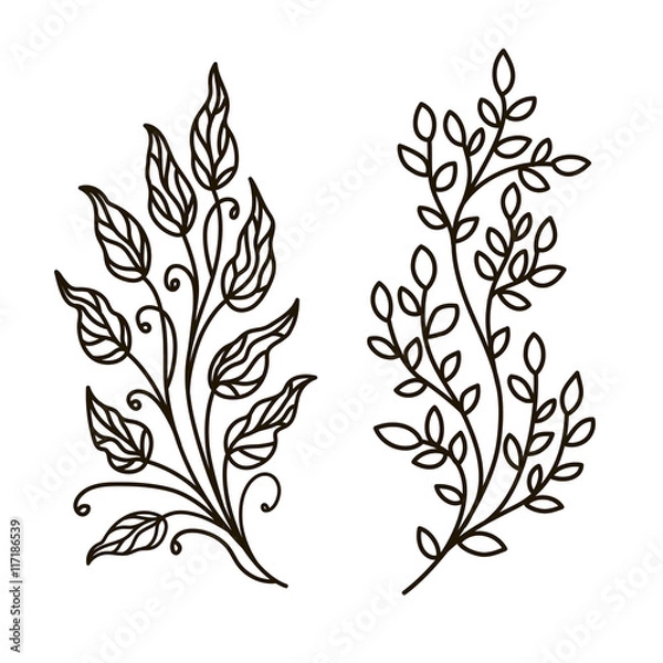Fototapeta vector, contour illustration, coloring book, branch, set,  leaves, summer, forest, nature, tree, plant, black and white illustration, abstraction, design element