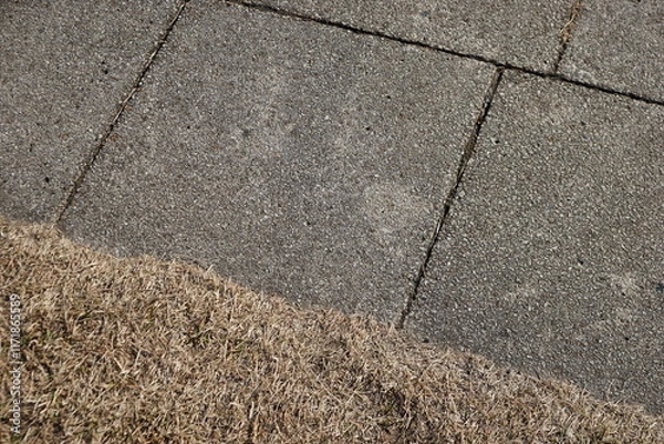 Obraz 石畳の道端