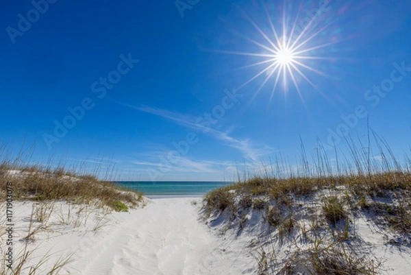 Obraz "Path To The Beach"