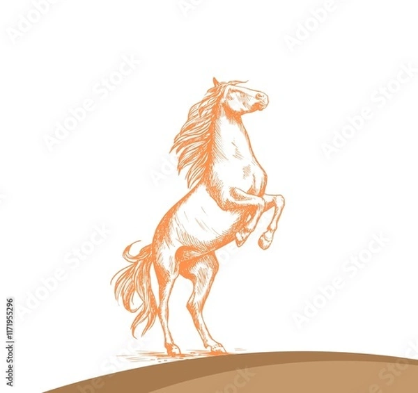 Fototapeta The illustration of an orange horse standing on its two hind legs while its two forelims lift into the air. The background of the picture is white with a hint of brown at the bottom of the picture.