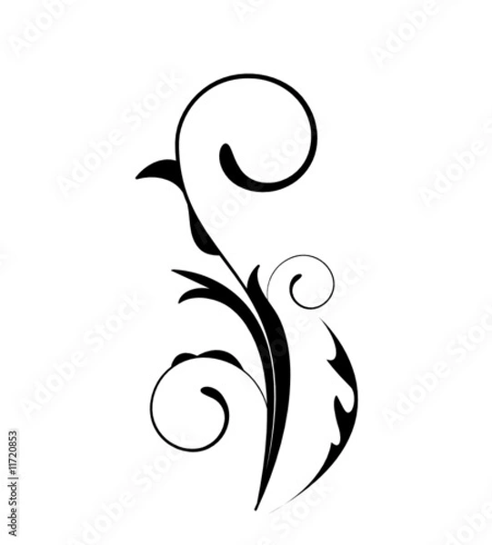 Fototapeta floral element -  vector