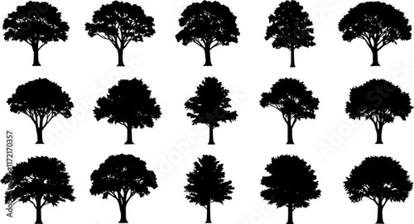 Obraz various deciduous trees silhouettes on the white background. vector set. PNG white background