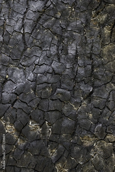 Fototapeta surface burned trunk background texture