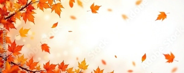 Fototapeta A border of falling orange leaves on a crisp white background, leaf, orange