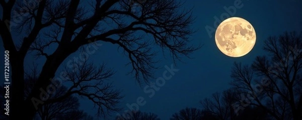 Fototapeta Full moon illuminating the dark branches of a tree, darkness, tranquility