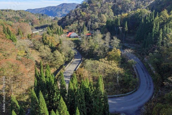 Obraz 晩秋の信越大橋から望むアートな道路