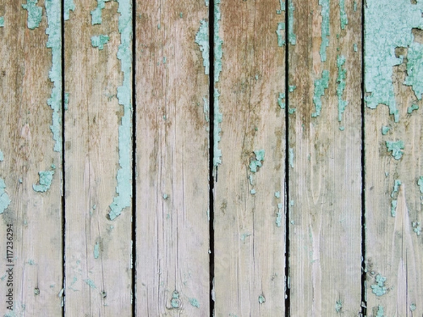 Obraz Background: the old painted boards