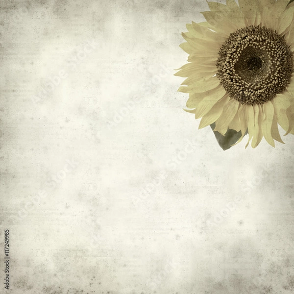 Obraz textured old paper background