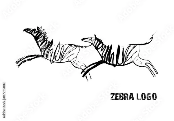 Obraz Zebra