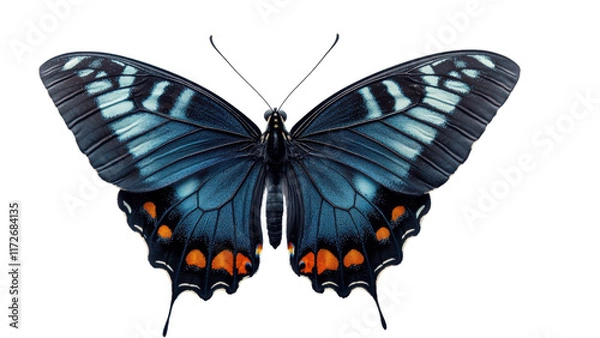 Fototapeta Elegant Butterfly on Clean White Canvas, showcasing delicate wings against a serene backdrop, emphasizing simplicity and grace