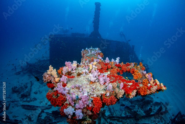 Obraz Taprobane wreck dive site