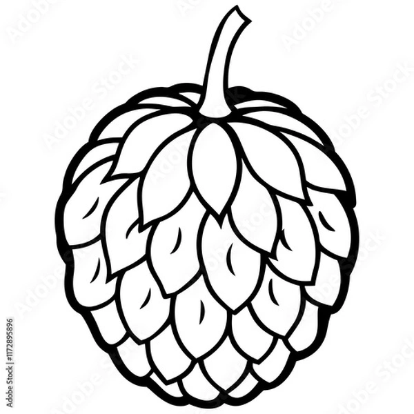 Fototapeta Stylized Balsam Apple in Minimalist Vector