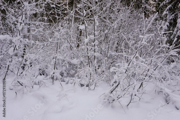 Fototapeta Frozen winter landscape at Engelberg in the Swiss alps