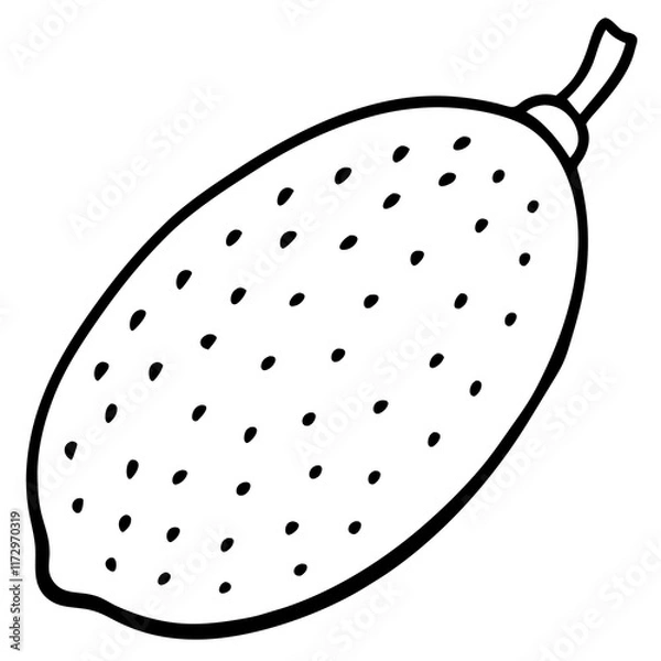 Fototapeta Stylized Finger Lime in Vector Form