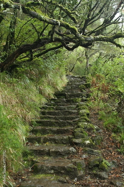 Fototapeta die treppe